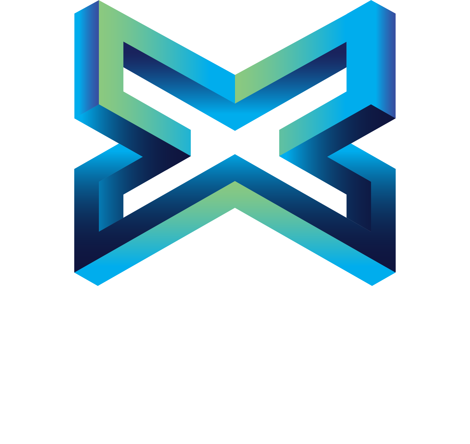 Logo Expert - negativa